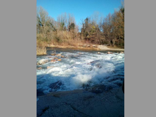 photo n°8