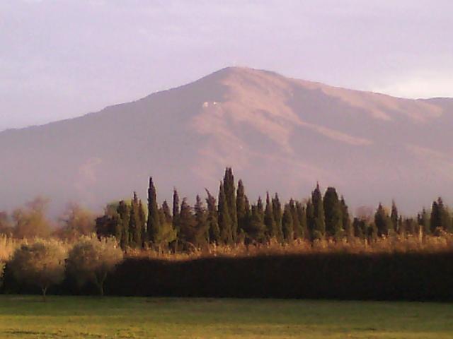 photo n°9