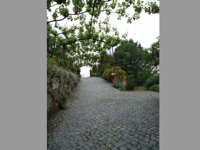 photo n°3