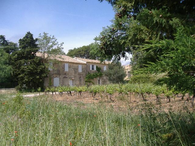 photo n°1