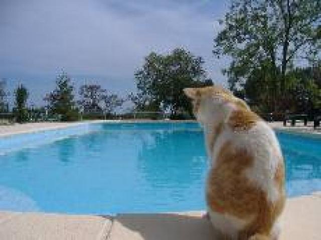 photo n°2