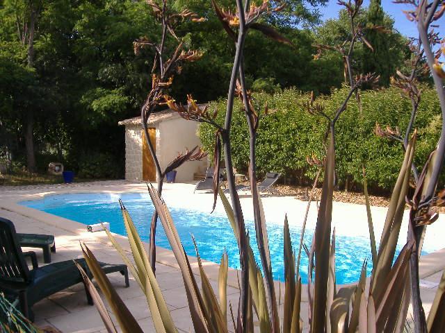 photo n°4