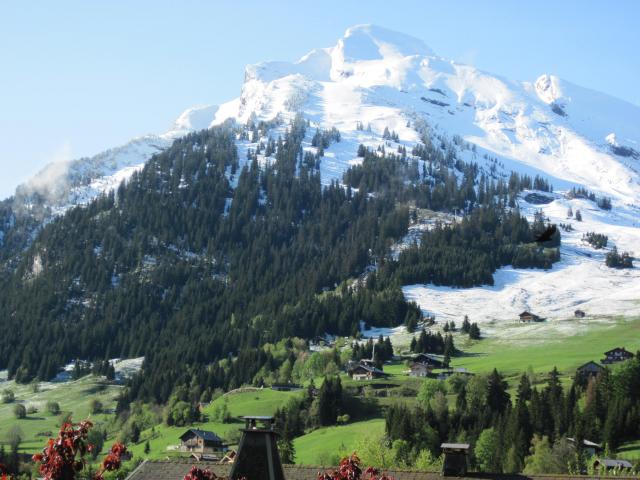 Location vacances LA CLUSAZ - photo n°6 annonce M2067403
