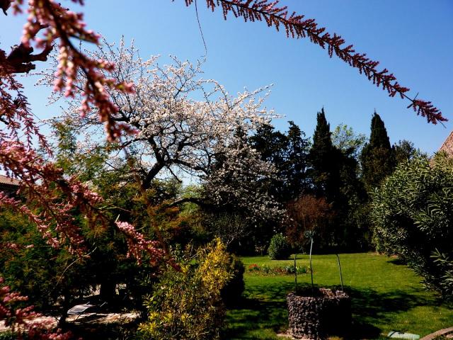photo n°1