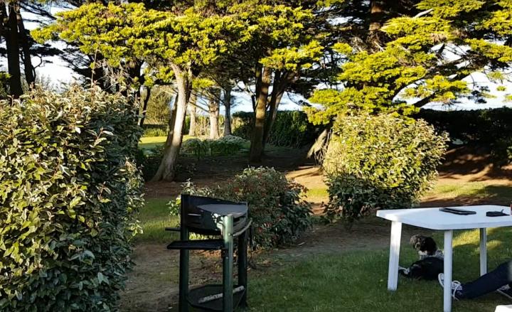 Photo n°4 location Gîte de vacances à PLOUGUERNEAU (annonce réf. P2162900)