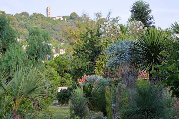 Photo 2 - Villa 3 personnes à HYÈRES LES PALMIERS