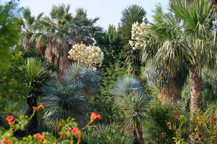 Photo n°3 location Villa de vacances à HYÈRES LES PALMIERS (annonce réf. P2468300)