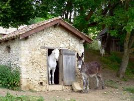 Photo n°5 location Ferme de vacances à EYMET (annonce réf. C0872401)