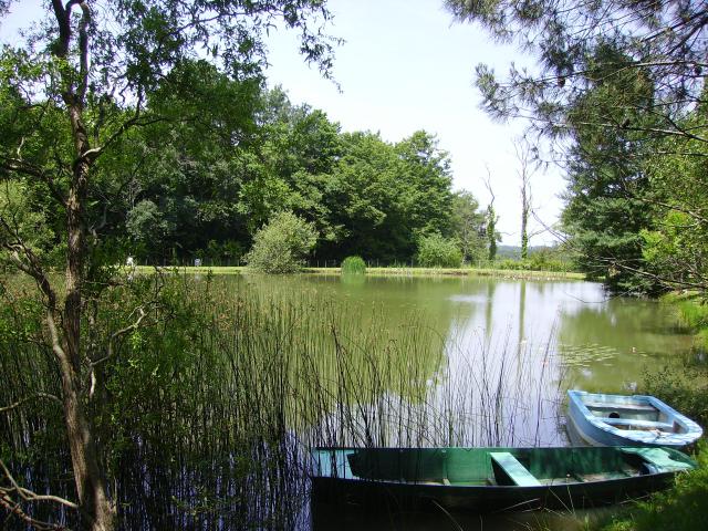 Photo 7 - Gîte 5 personnes à BERGERAC