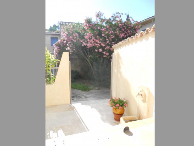 photo n°3