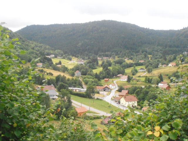 photo n°7