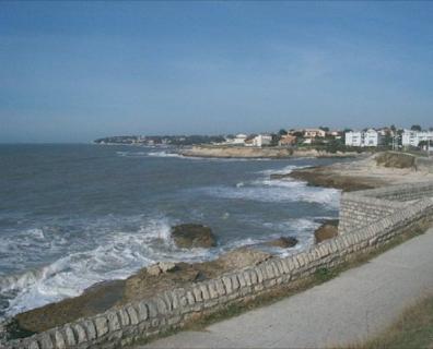 photo n°8