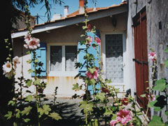 Photo n°1 location Maison de vacances à SAINT PIERRE D'OLÉRON (annonce réf. P0871702)