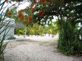 Location vacances SAINT FRANÇOIS - photo n°2 annonce P0979700