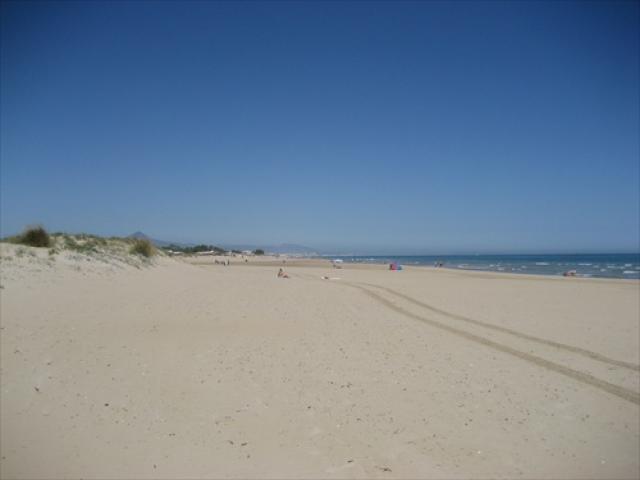 photo n°4