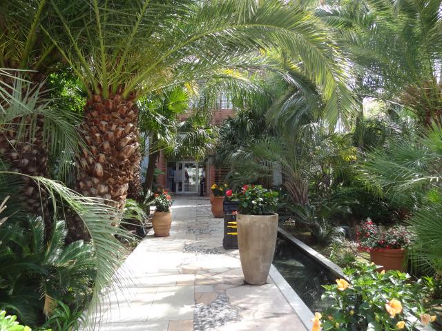 photo n°4