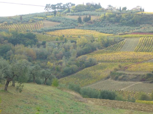 paysage environnant