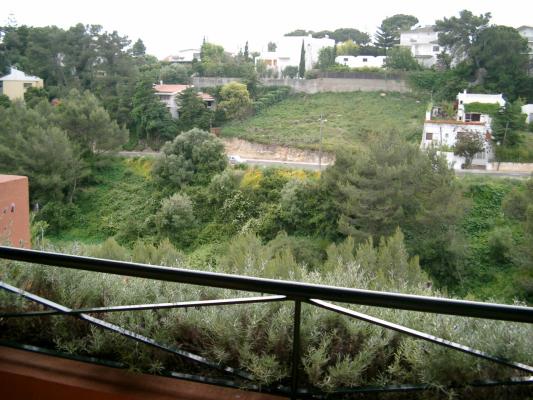 photo n°4