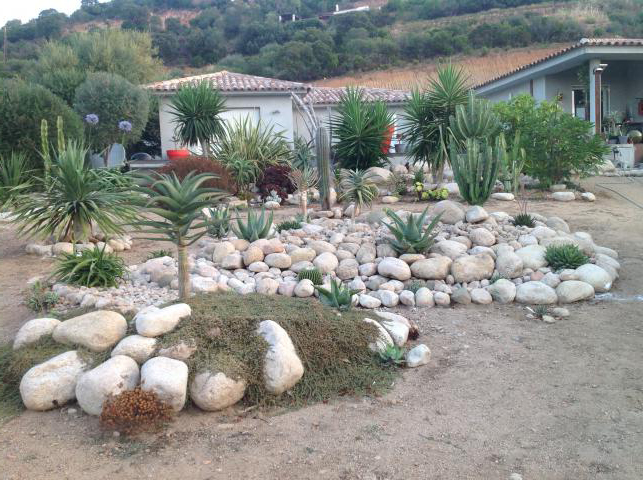 photo n°1