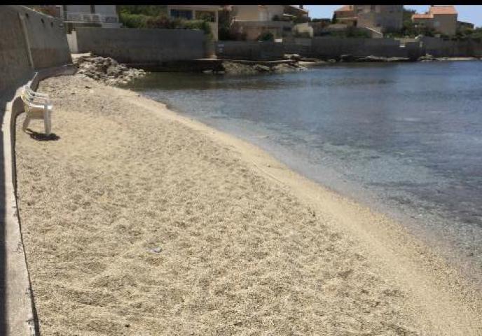 Location vacances SIX FOURS LES PLAGES - photo n°4 annonce P2488301