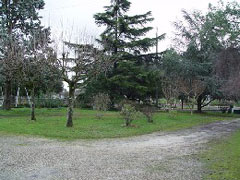 photo n°2