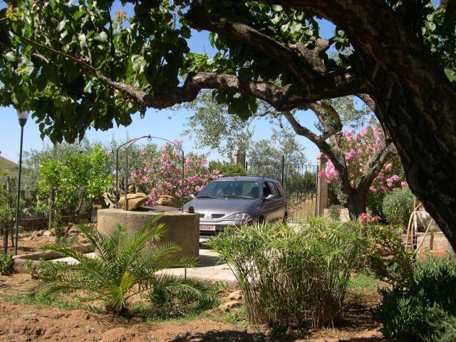 jardin