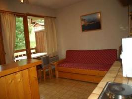 Photo 3 - Appartement 5 personnes à BELLEVAUX