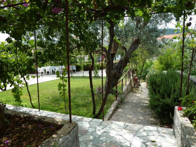 photo n°4