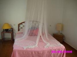 photo n°4