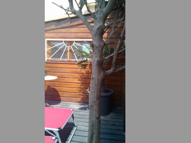 photo n°4
