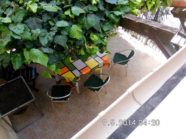 photo n°5