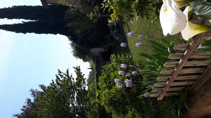 Photo n°9 location Maison de vacances à MARTIGUES (annonce réf. P2191300)