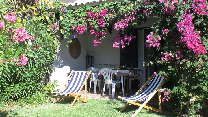 photo n°4